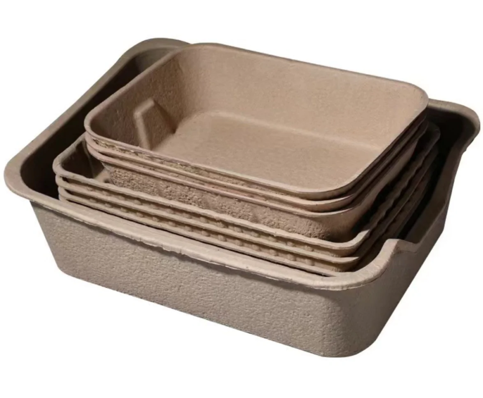 Disposable Cat Litter Box
